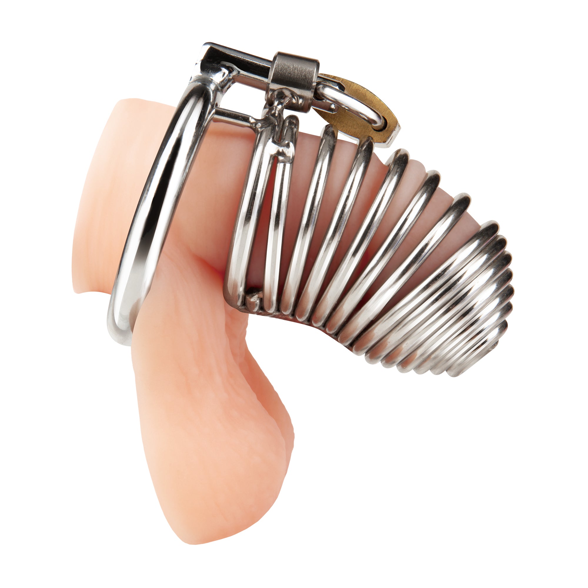 Prisoner Cock Cage