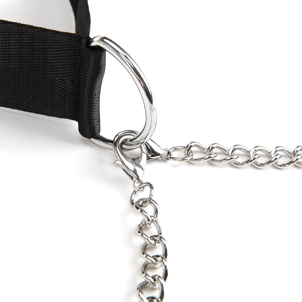 Collar And Nipple Clips