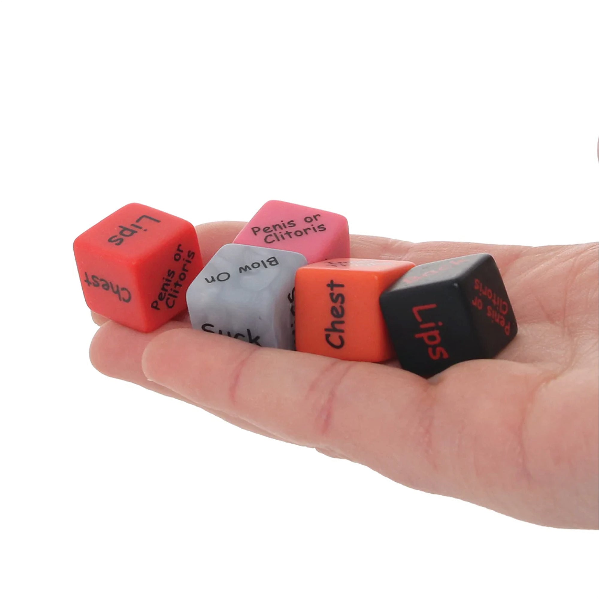 Let's Fool Around! Dice Game (Individual)